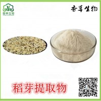 稻芽提取物 炒稻芽粉 稻谷芽速溶粉價格 稻芽濃縮粉廠家供應(yīng)