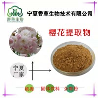 櫻花提取物 速溶櫻花粉廠家批發(fā) 櫻花濃縮粉 櫻花提取液