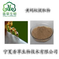 黃螞蟻提取物 黃螞蟻粉 黑螞蟻提取物廠家