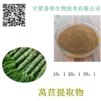 萵筍提取物供應(yīng)  濃縮石苣粉50:1即食 水溶性粉