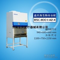 單人操作生物安全柜-博科生物安全柜BSC-1100IIA2