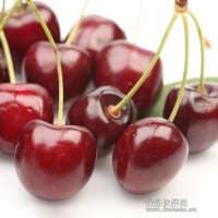 櫻桃農(nóng)藥殘留檢測,櫻桃營養(yǎng)成分檢測報(bào)告