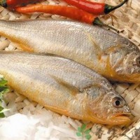 黃花魚檢測(cè)報(bào)告,黃花魚抗生素檢測(cè)機(jī)構(gòu),黃花魚微生物檢測(cè)項(xiàng)目