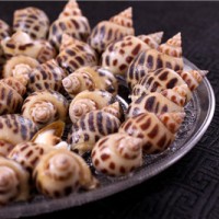 風(fēng)螺抗生素檢測報(bào)告,風(fēng)螺質(zhì)量檢測機(jī)構(gòu),風(fēng)螺微生物檢測項(xiàng)目