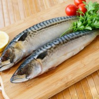 鯖魚抗生素檢測報(bào)告,鯖魚質(zhì)量檢測機(jī)構(gòu),鯖魚營養(yǎng)檢測項(xiàng)目