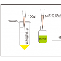 生物素?zé)晒舛吭嚰垪l乳品及飲料加工企業(yè)
