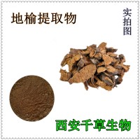 地榆浸膏粉 廠家生產(chǎn)定制天然濃縮提取物 定做赤地愉浸膏