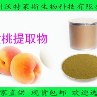 黃桃提取物 黃桃速溶粉 黃桃汁