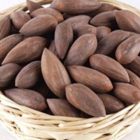 榧子萃取物廠家現(xiàn)貨榧子粉