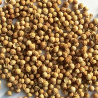 香辛料 小茴香粉 香菜籽粉 研發(fā)定制代加工廠家