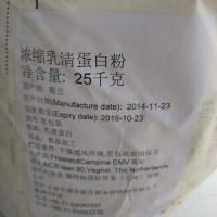 批發(fā)食品級(jí)荷蘭進(jìn)口濃縮乳清蛋白 粉