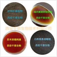 甘杞子提取物甘杞子濃縮粉甘杞子浸膏粉