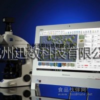 迅數(shù)T200藻類智能鑒定計數(shù)儀