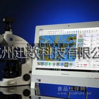 迅數(shù)T100藻類智能鑒定計數(shù)儀