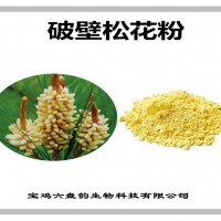 破壁松花粉 松花粉 生產(chǎn)廠家