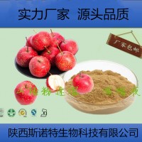 山楂浸膏 半流體狀   山楂粉   斯諾特長期供應(yīng)