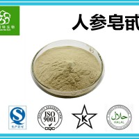 人參皂甙80% 人參根粉 人工種植 天然提取 廠家現(xiàn)貨