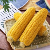 玉米檢測(cè)報(bào)告,玉米農(nóng)殘檢測(cè),轉(zhuǎn)基因檢測(cè)