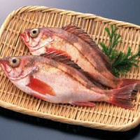 加吉魚檢測(cè)報(bào)告,加吉魚抗生素檢測(cè)機(jī)構(gòu),加吉魚微生物檢測(cè)項(xiàng)目
