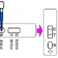 蜂蜜中四環(huán)素快速檢測卡