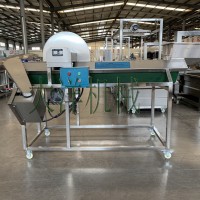 大洋供應(yīng)PB2000型電動(dòng)V型土豆劈半機(jī)切面光滑產(chǎn)量高