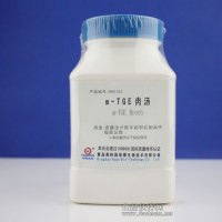 m-TGE肉湯