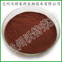 黑螞蟻提取物10:1 蛋白質(zhì)氨基酸 原料粉末