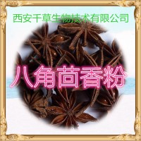 水溶性八角茴香粉 廠家生產(chǎn)動植物提取物定做舶茴香流浸膏