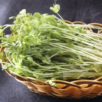 綠豆芽農(nóng)藥殘留檢測機(jī)構(gòu),綠豆芽營養(yǎng)成分檢測報告