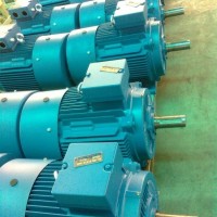 Y132S2-2 7.5KW電機(jī)