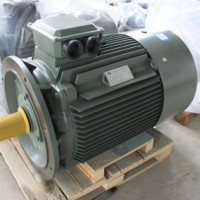 Y315S-2 110KW電機