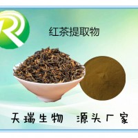 茶黃素40% 天瑞生物源頭廠家紅茶提取物