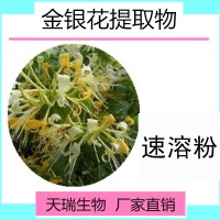 金銀花提取物普通食品原料天瑞源頭廠家量大從優(yōu)金銀花粉水溶