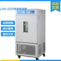 恒溫恒濕試驗(yàn)箱 可程式恒溫恒濕箱