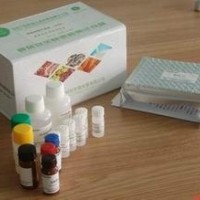 β-內酰胺類快速檢測卡