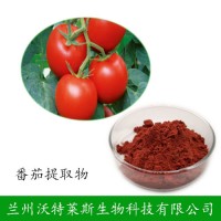 番茄紅素10% 水溶性 番茄提取物 原料供應(yīng)  廠家包郵