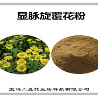 顯脈旋覆花速溶粉 水溶性原料 顯脈旋覆花粉