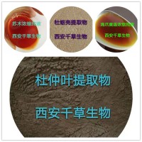 霜蒼術(shù)提取物霜蒼術(shù)濃縮粉霜蒼術(shù)浸膏粉