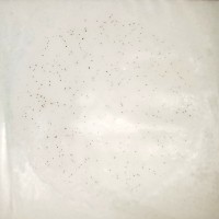 沙門氏菌測試片