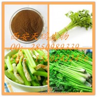 歐芹提取物   香芹提取物