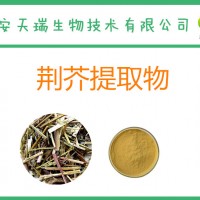 荊芥提取物 10:1 荊芥粉  新貨出廠