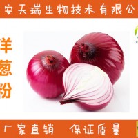 洋蔥粉  洋蔥提取物 洋蔥原粉
