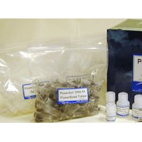 Qiagen(MoBio)強(qiáng)力土壤微生物DNA 提取試劑盒