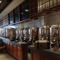 1000L啤酒設備糖化罐+發(fā)酵罐精釀啤酒設備廠家提供技術指導