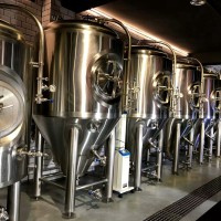 廣東酒吧啤酒設備 精釀原漿啤酒設備 自釀小型啤酒設備