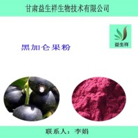 黑加侖粉    黑醋栗粉 紫梅粉 黑加侖粉水果粉