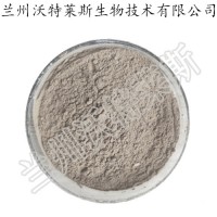 香芋粉 速溶?chē)婌F干燥  香芋超微果粉 1kg起訂