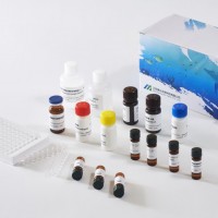 美正生物金剛烷胺(AMA)ELISA檢測(cè)試劑盒