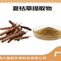 夏枯草提取物 夏枯草粉 可定制生產(chǎn) 藥食同源