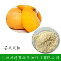 芒果汁粉 芒果提取物  芒果粉 大量庫(kù)存  批發(fā)價(jià)格